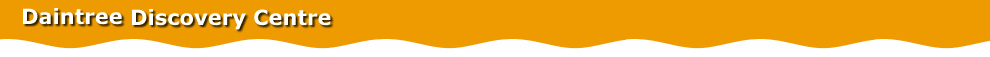 Daintree Rainforest Discovery Centre - Daintree Rainforest Tours, Attractions - Cairns Australia